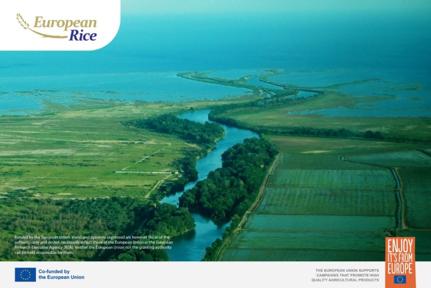 European Rice: Adding Value to Staple&nbsp;Diets