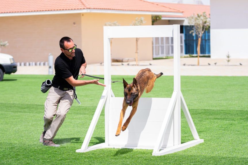WWK9 Showcases Cutting-Edge Canine Technology at ISNR&nbsp;2024