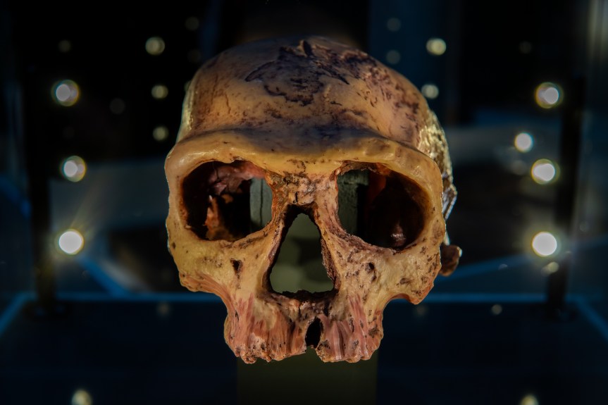 SIBF 2024: Humanity’s origins and a 12th century maptake you on a journey through&nbsp;time