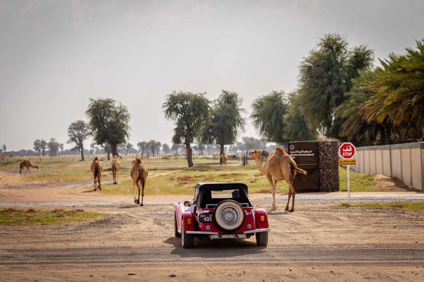 الدورة الثانية تأتي في إطار الاحتفالات بالذكرى الـ53 لليوم&nbsp;الوطني