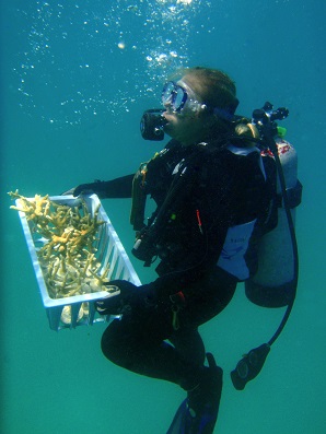 AD Ports Group & NYU Abu Dhabi&nbsp;Issue