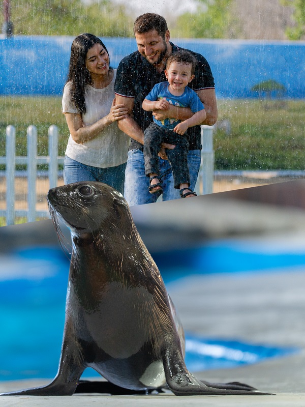 RAIN IN THE ZOO RETURNS THIS EID AT EMIRATES PARK ZOO &&nbsp;RESORT